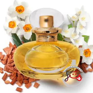 Lily Le Parfum O Boticário